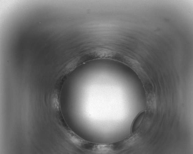 X0000071390622200606301837