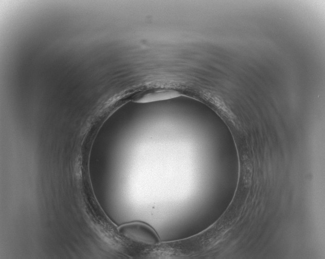 X0000071390631200606301837