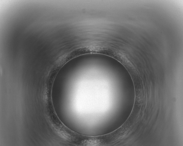 X0000071390639200606301837