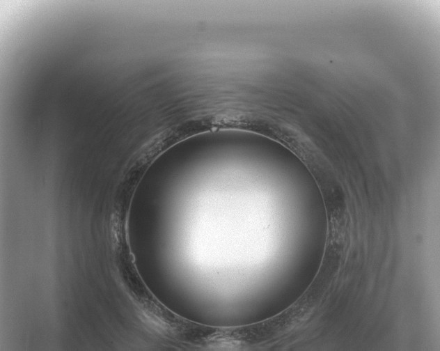 X0000071390648200606301837