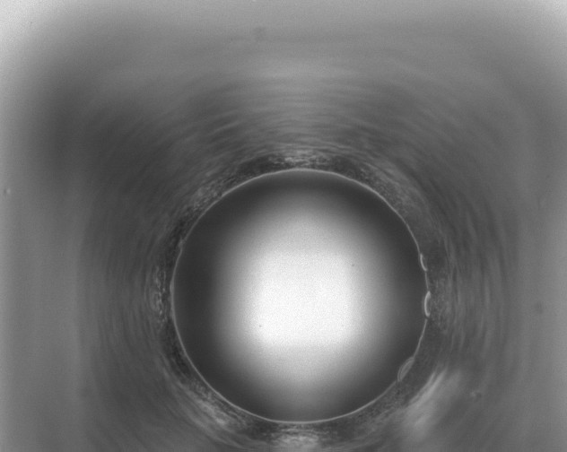 X0000071390653200606301837