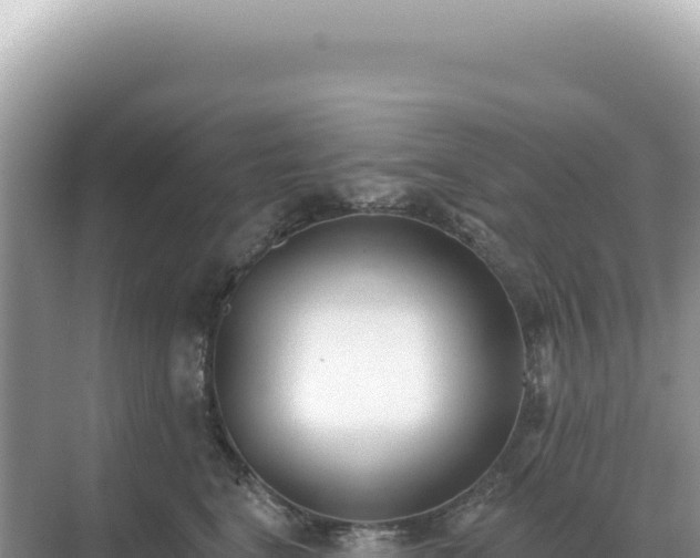 X0000071390664200606301837
