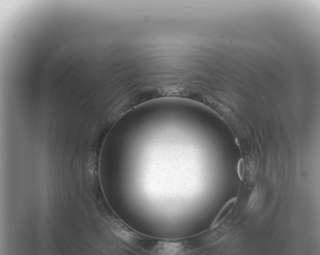X0000071390665200606301837