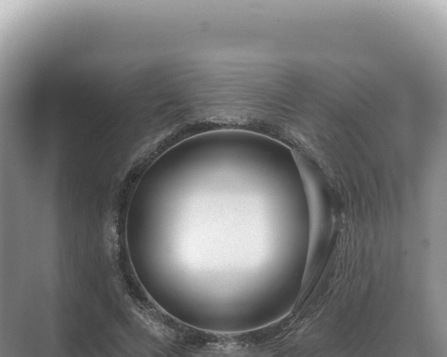 X0000071390688200606301836