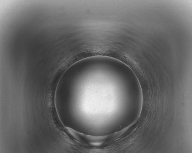 X0000071390689200606301836