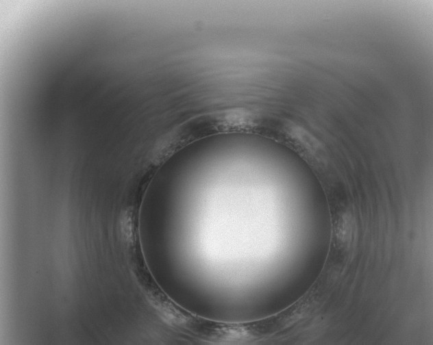 X0000071390715200606301836