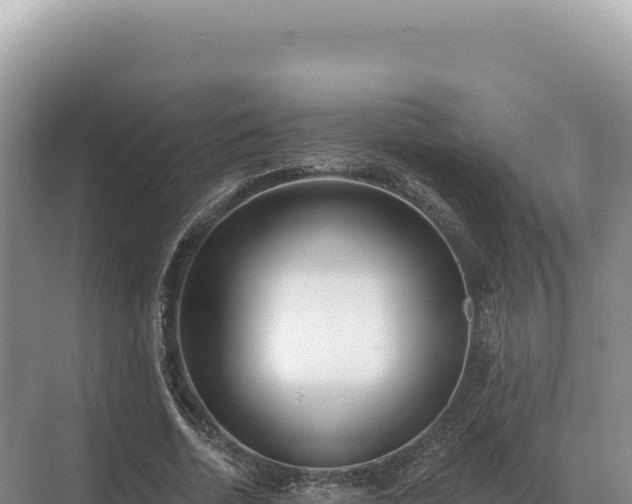 X0000071390730200606301835