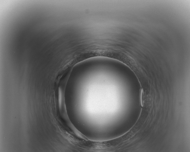 X0000071390750200606301835