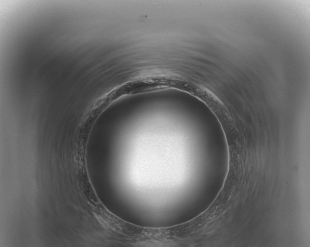 X0000071390775200606301835