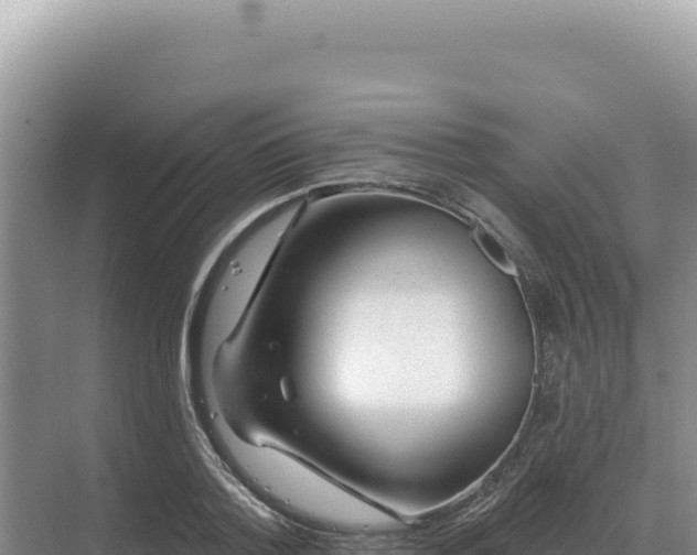 X0000071390788200606301835