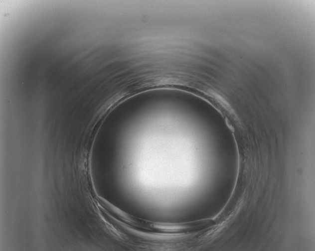 X0000071390793200606301834