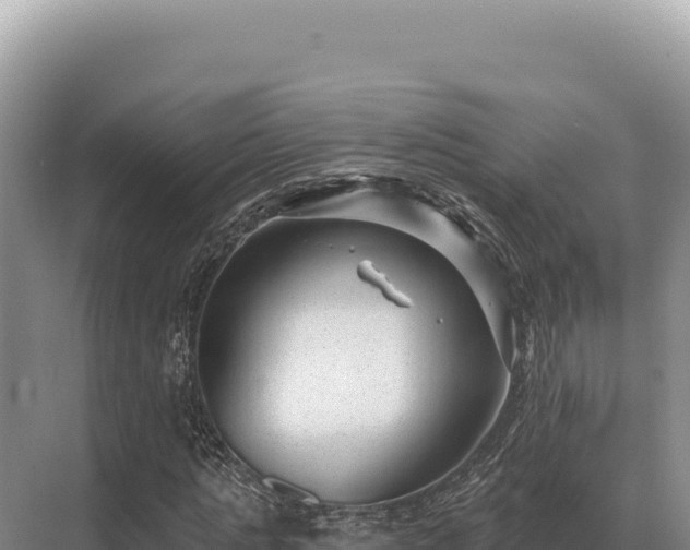 X0000071390821200606301833