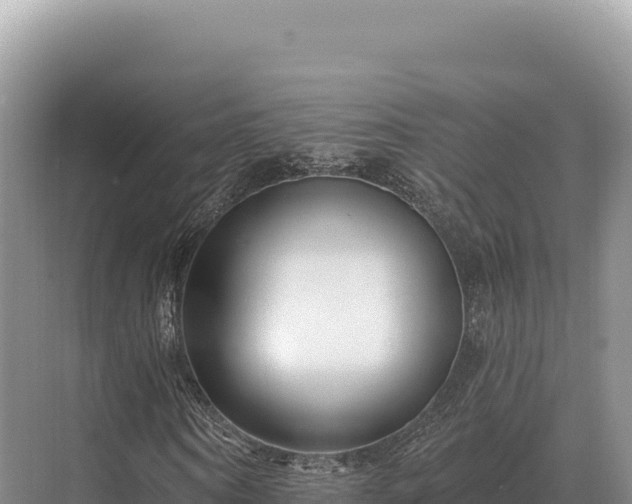 X0000071390866200606301833