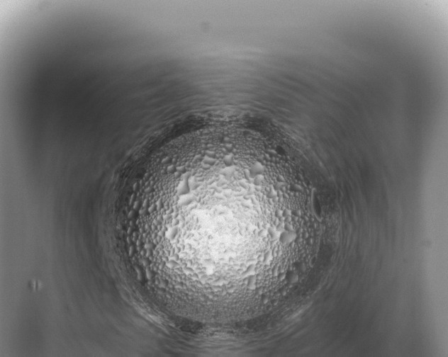 X0000071390913200606301832