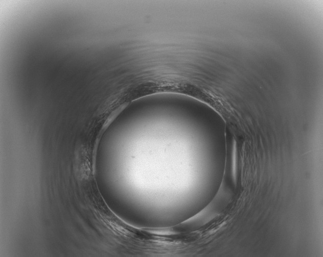 X0000071390916200606301832