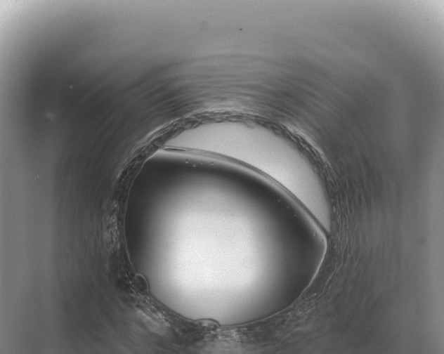 X0000071390968200606301831