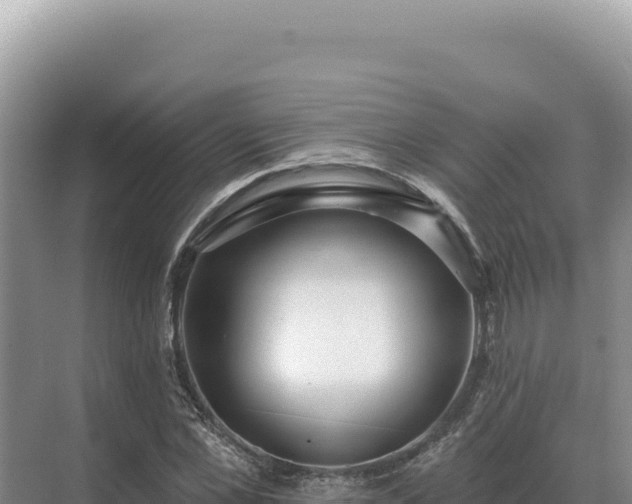 X0000071390973200606301831