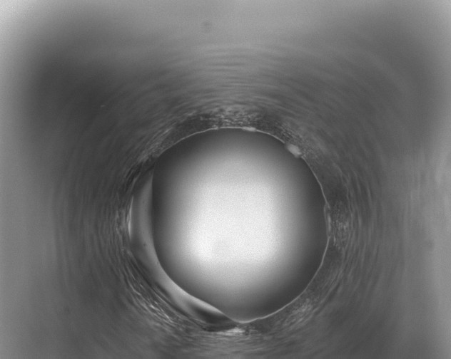 X0000071391010200606301830