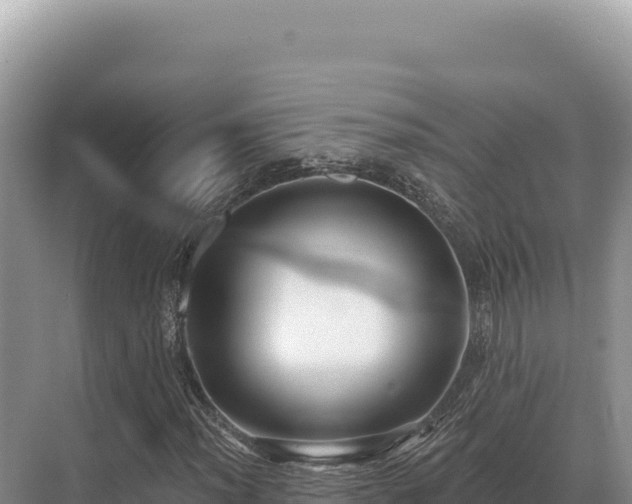 X0000071391012200606301830