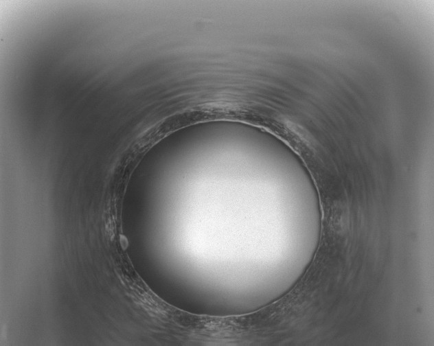 X0000071391015200606301830