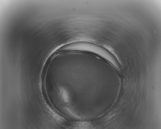 X0000071391024200606301830