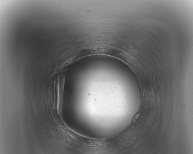 X0000071391058200606301830