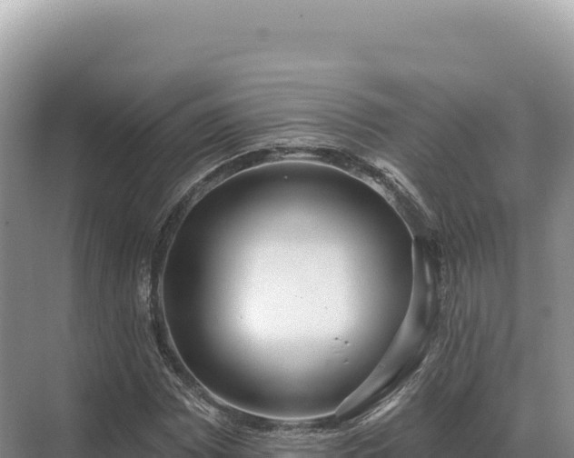 X0000071391065200606301830
