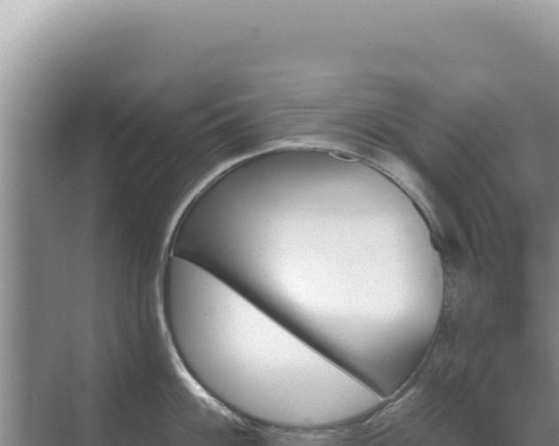 X0000071391100200606301829