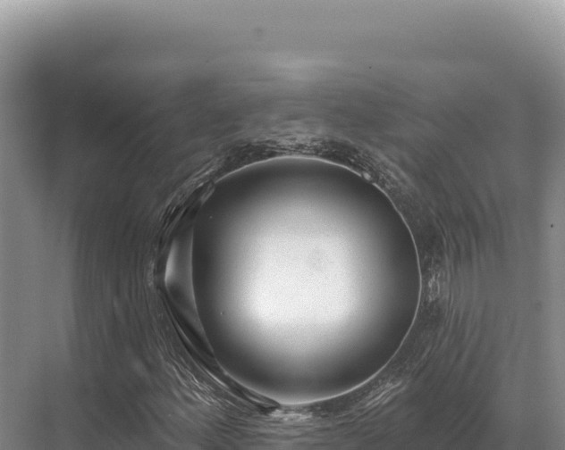 X0000071391156200606301828
