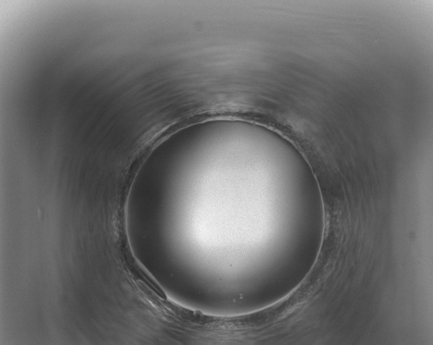 X0000071391217200606301827