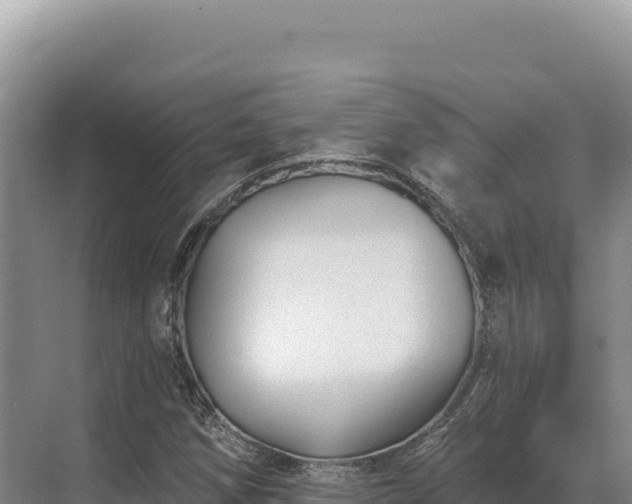 X0000071391258200606301827