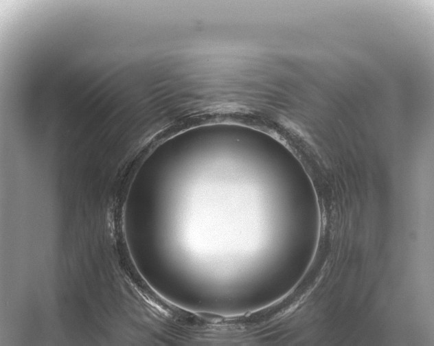 X0000071391305200606301825