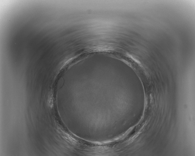 X0000071391306200606301825