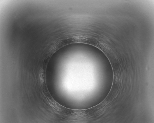 X0000071391346200606301825