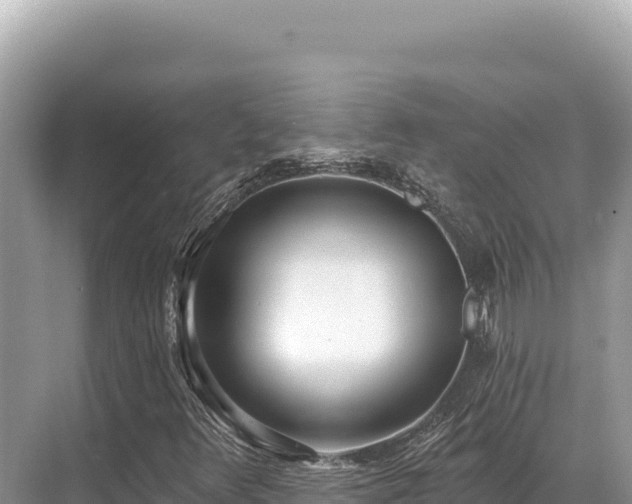 X0000071391348200606301825