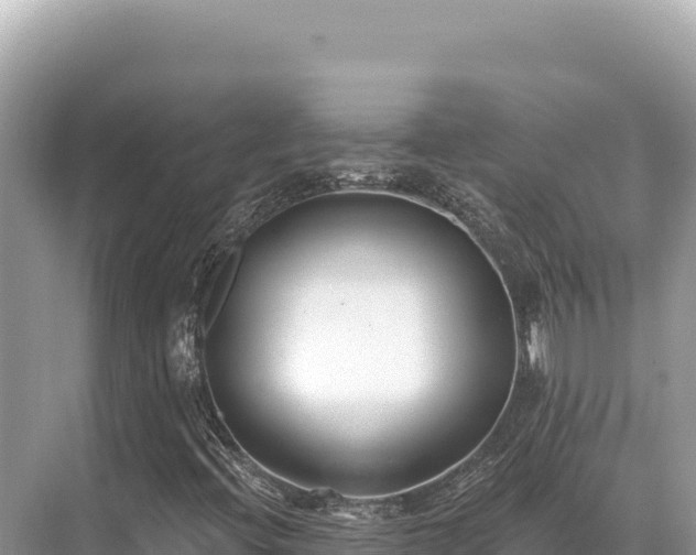 X0000071391396200606301824
