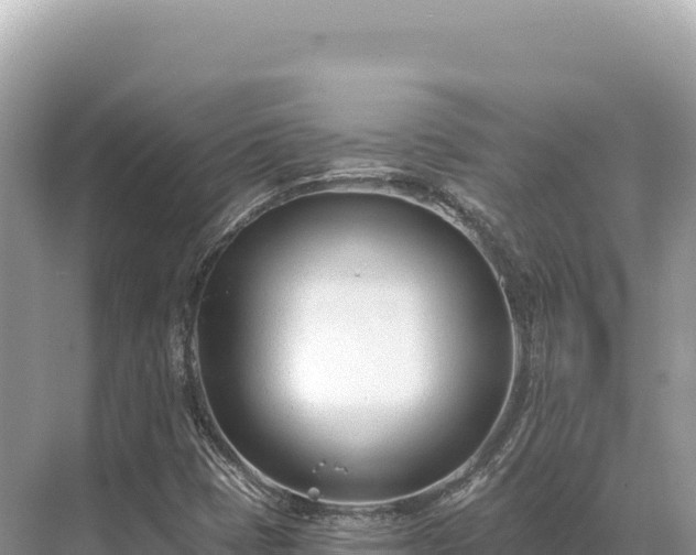 X0000071391401200606301824