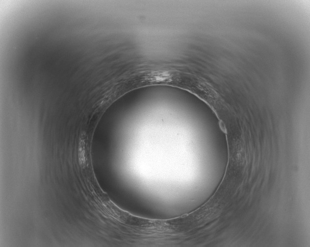 X0000071391442200606301823