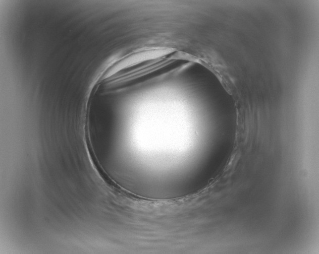 X0000071390003200607071920