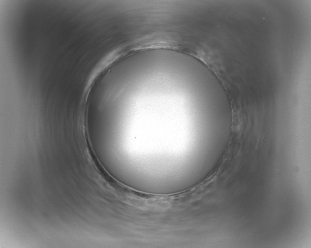 X0000071390004200607071920