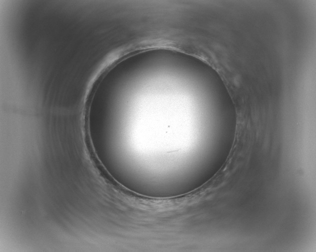 X0000071390006200607071920