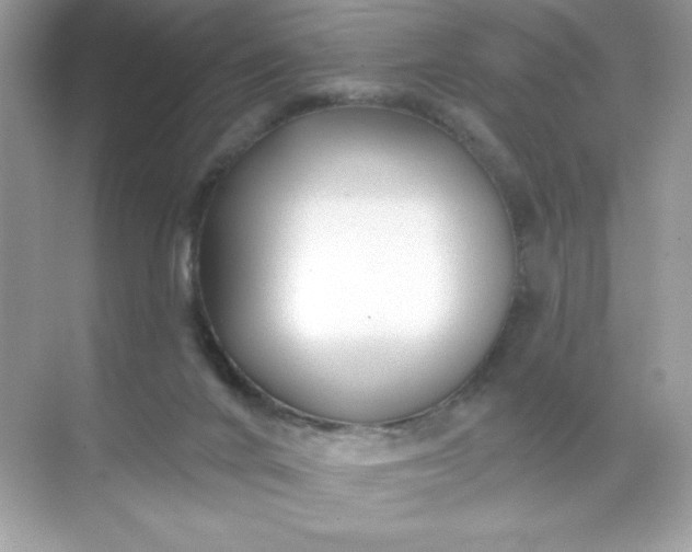 X0000071390024200607071920