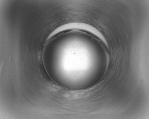 X0000071390033200607071920
