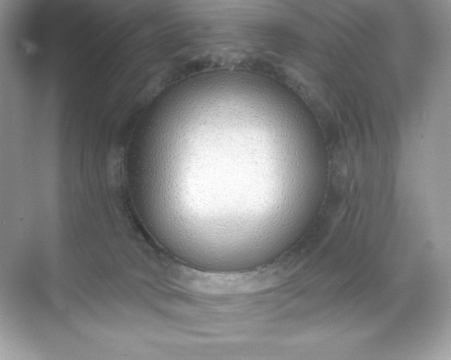 X0000071390034200607071920