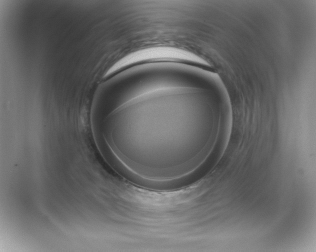 X0000071390035200607071919