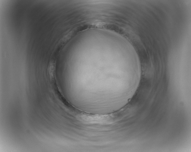 X0000071390036200607071919