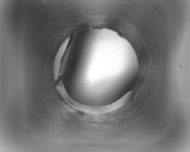 X0000071390041200607071919