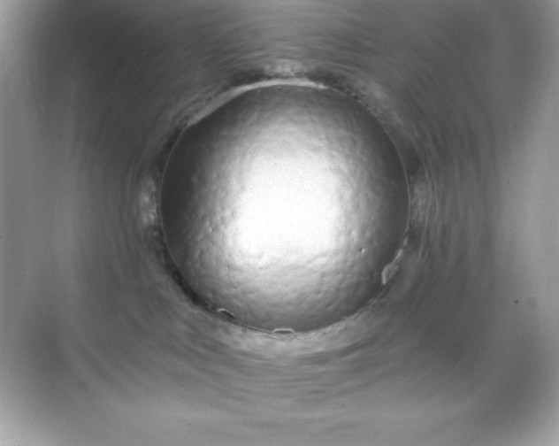 X0000071390043200607071919