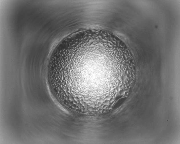 X0000071390049200607071918