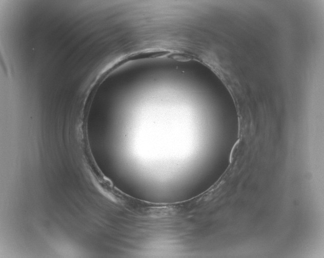 X0000071390050200607071918